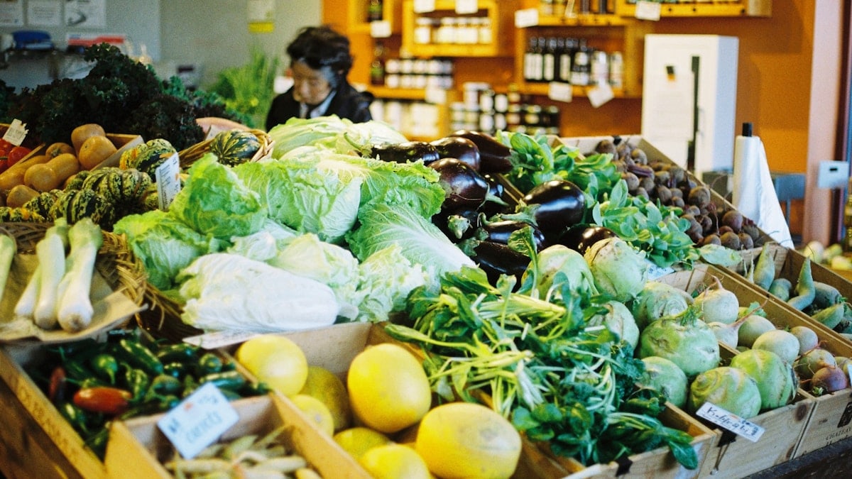 variety of vegetables